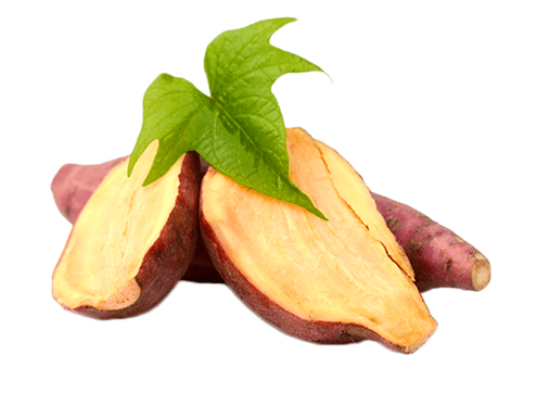 Yacon Roots in Reduslim