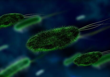 The cause of gastritis is a bacterium - Helicobacter